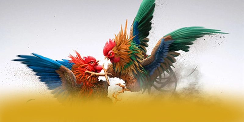 W88 - Trang game muot ma tai Viet Nam